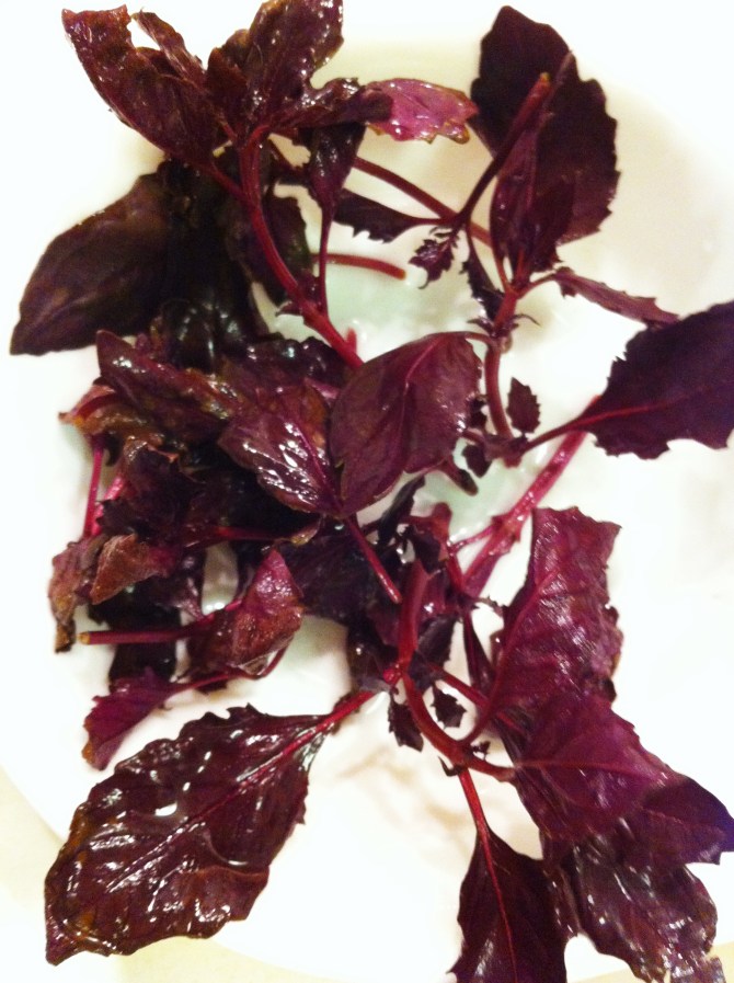 Purple basil with the most divine smell!