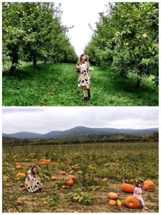 Apple & Pumpkin picking in the Hudson Valley, NY