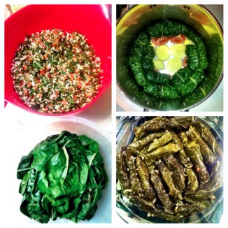 Chard stuffed with a Tabbouleh-like mix