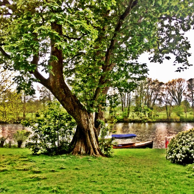 The River Thames